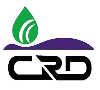 平谷菠萝在不同地区的灌溉方式